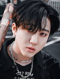 Changbin Biography, Age, Weight, Height, Net Worth, Affairs, Education, Body Measurements, Family, Awards, Horoscope, Social Media, Snap Chat & Life Achievements